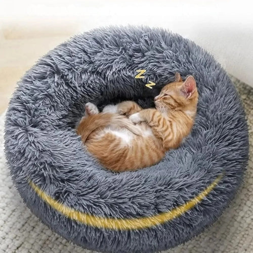 Pet-friendly cleaning & organization