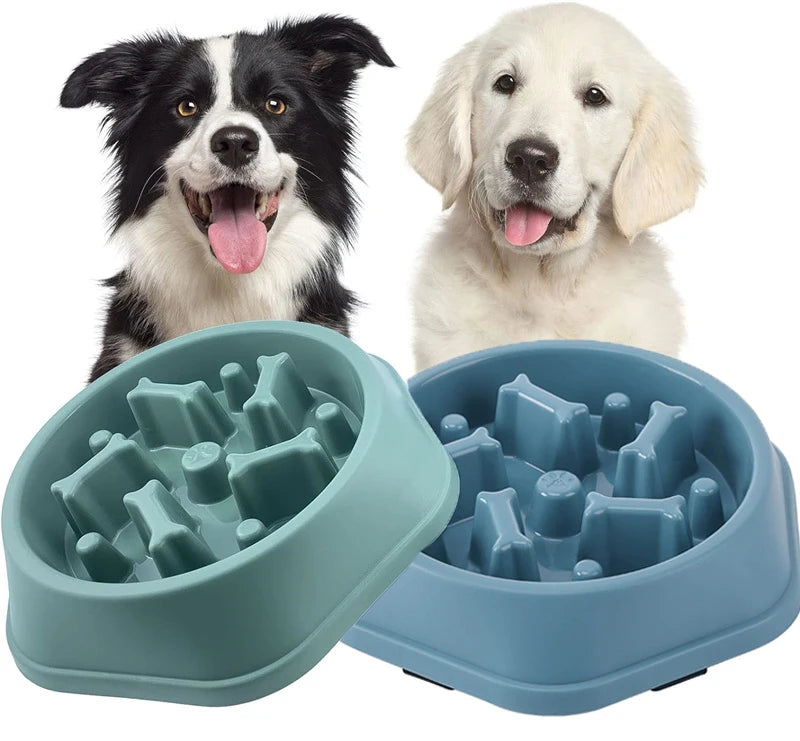 Anti-Choke Slow Feeder Bowl for Small & Medium Dogs
