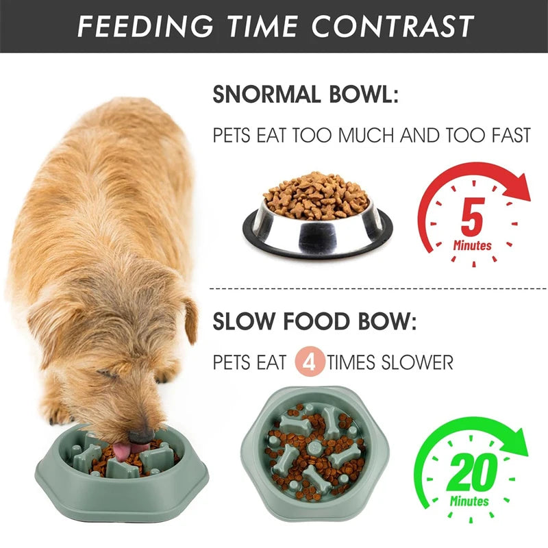 Anti-Choke Slow Feeder Bowl for Small & Medium Dogs