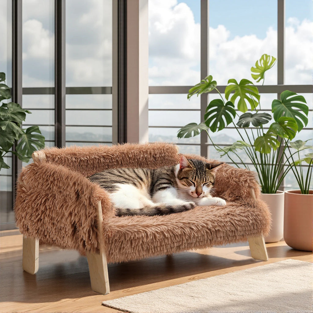 Large Plush Cat Bed Raised Wooden Sofa for Indoor Cats & Kittens