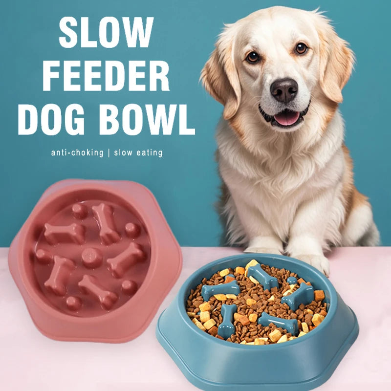 Anti-Choke Slow Feeder Bowl for Small & Medium Dogs