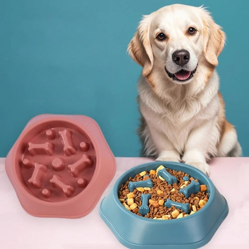 Anti-Choke Slow Feeder Bowl for Small & Medium Dogs